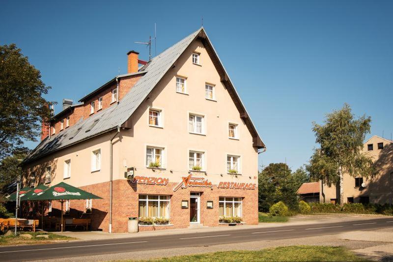 Penzion Avionika Kovářská Eksteriør billede